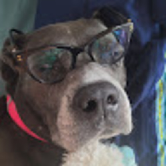 Meet your Posher, Isabella - Picture 1 of 1